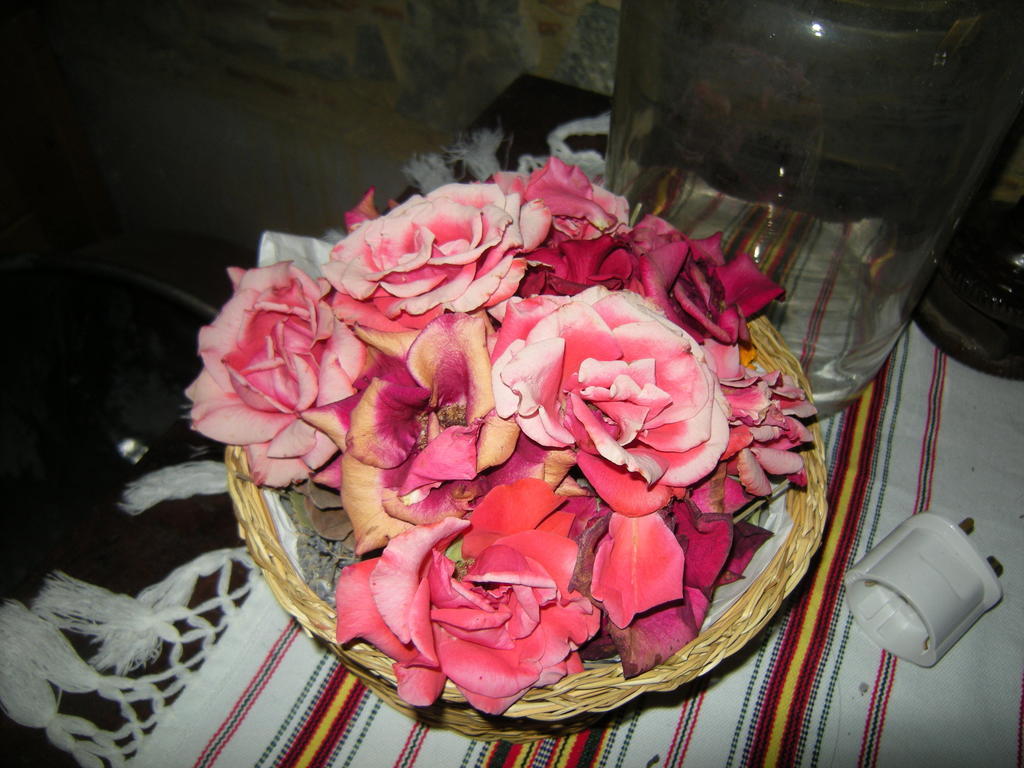 Lasmari'S Bouquet Sykopetra Номер фото