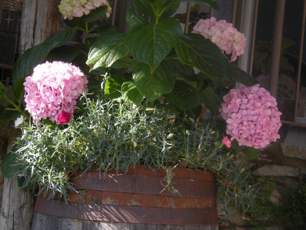 Lasmari'S Bouquet Sykopetra Екстер'єр фото
