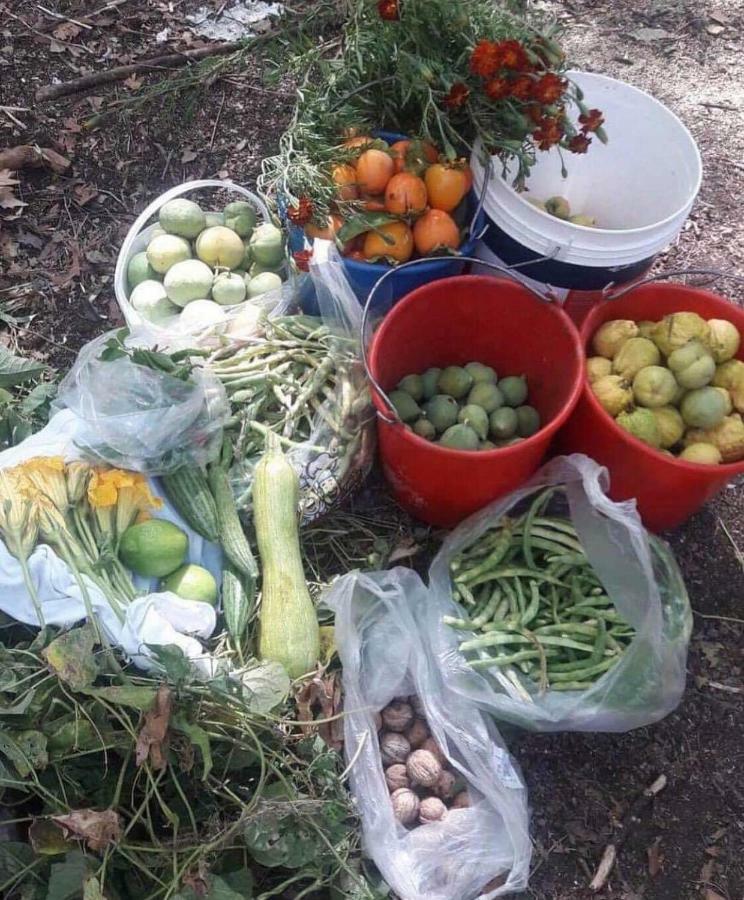 Lasmari'S Bouquet Sykopetra Екстер'єр фото