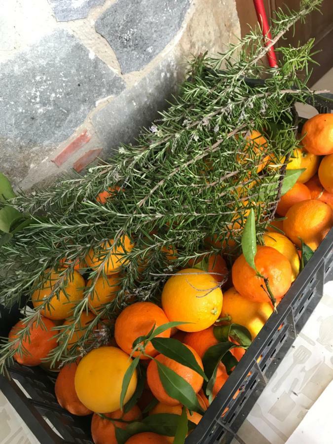 Lasmari'S Bouquet Sykopetra Екстер'єр фото